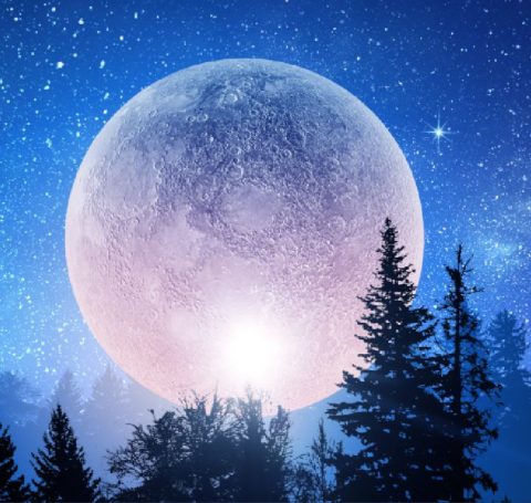Moon Signs on Astrology.TV