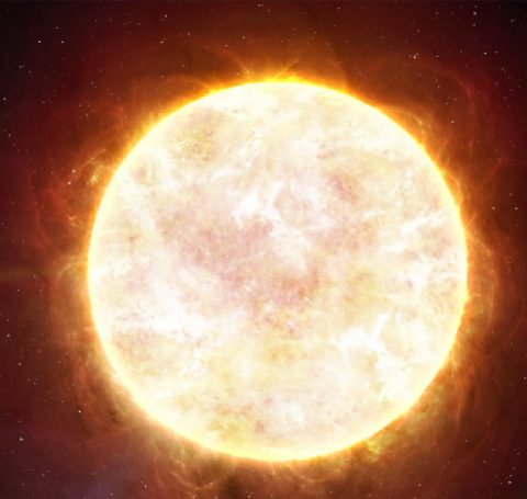 Sun Signs on Astrology.TV